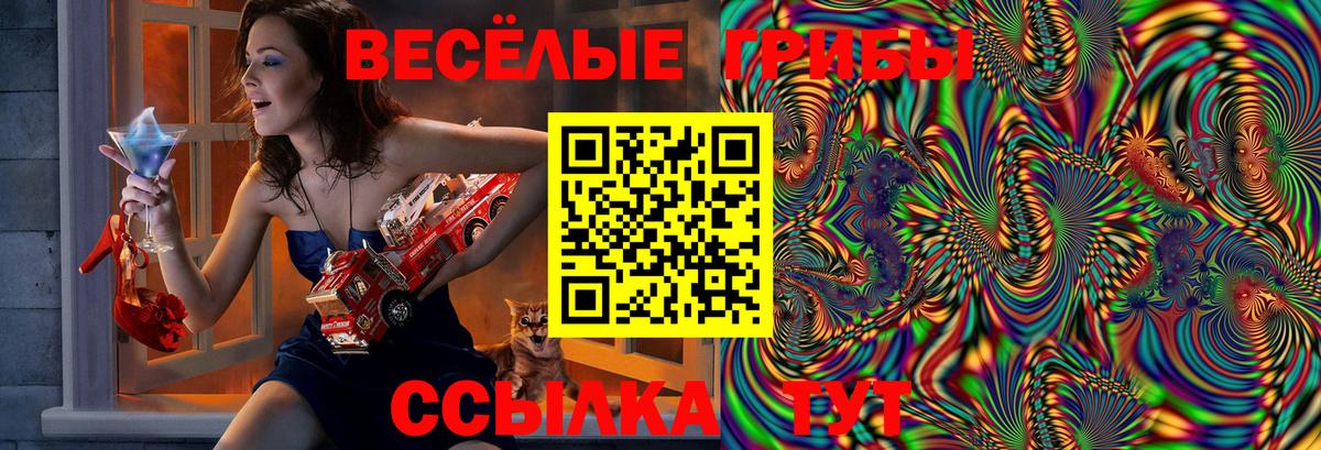 Псилоцибиновые грибы Psilocybine cubensis  Галлюциногенные грибы мицелий  Крымск  Вход с VPN 
